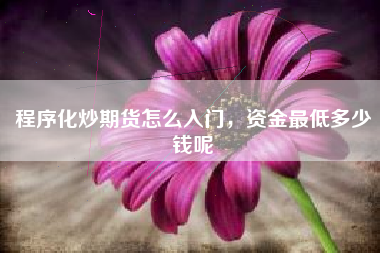 程序化炒期货怎么入门，资金最低多少钱呢