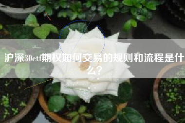 沪深30etf期权如何交易的规则和流程是什么？
