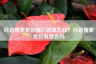 抖音搜索竞价推广效果怎样？抖音搜索竞价有排名吗