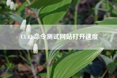 CURL命令测试网站打开速度