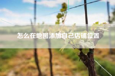 怎么在地图添加自己店铺位置