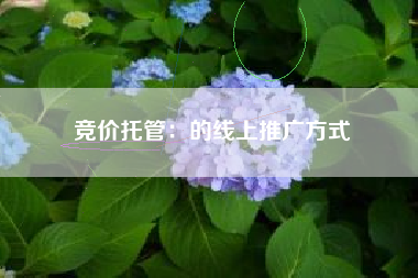 竞价托管：的线上推广方式
