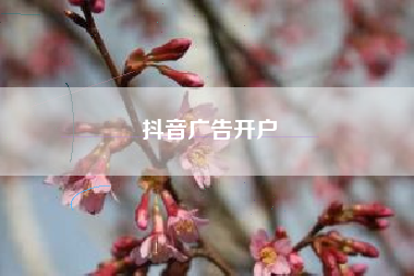 抖音广告开户