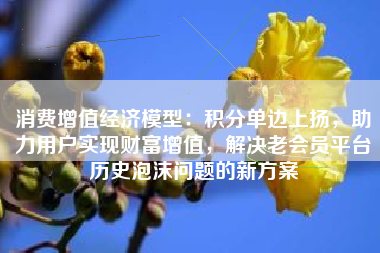 消费增值经济模型：积分单边上扬，助力用户实现财富增值，解决老会员平台历史泡沫问题的新方案
