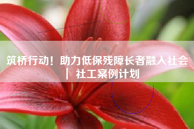 筑桥行动！助力低保残障长者融入社会 ｜ 社工案例计划