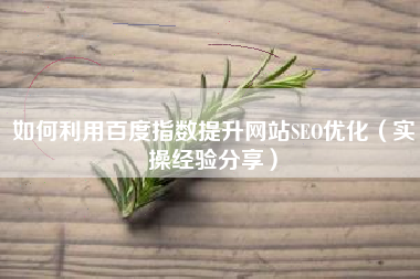 如何利用百度指数提升网站SEO优化（实操经验分享）