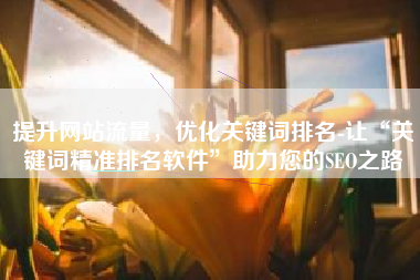 提升网站流量，优化关键词排名-让“关键词精准排名软件”助力您的SEO之路
