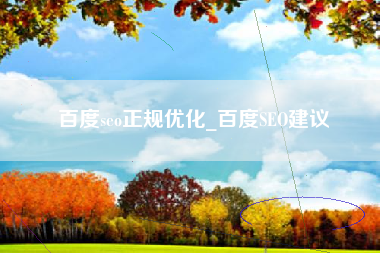 百度seo正规优化_百度SEO建议