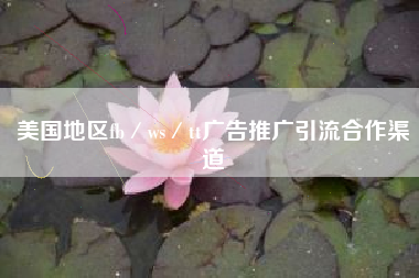 美国地区fb／ws／tt广告推广引流合作渠道