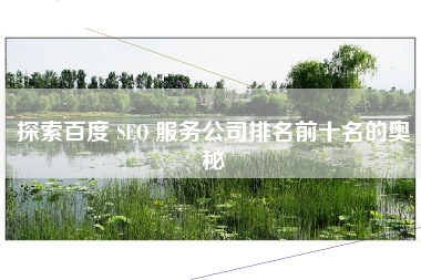 探索百度 SEO 服务公司排名前十名的奥秘
