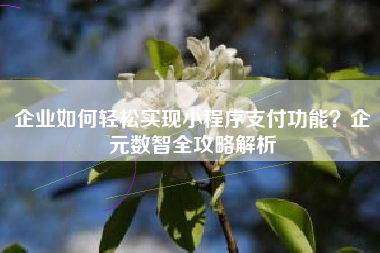 企业如何轻松实现小程序支付功能？企元数智全攻略解析
