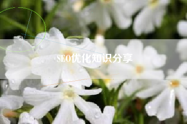 SEO优化知识分享