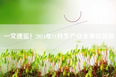 一文速览！2024年11月生产安全事故简报