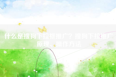什么是搜狗下拉框推广？搜狗下拉推广原理、操作方法