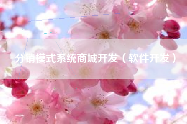 分销模式系统商城开发（软件开发）