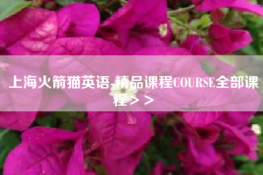 上海火箭猫英语-精品课程COURSE全部课程＞＞