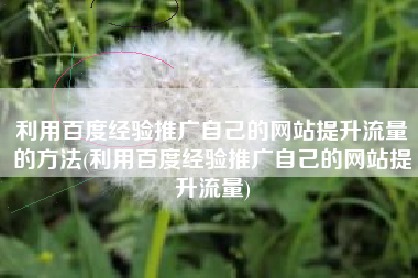 利用百度经验推广自己的网站提升流量的方法(利用百度经验推广自己的网站提升流量)