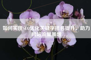 如何实现SEO优化关键字排名提升，助力网站流量暴增