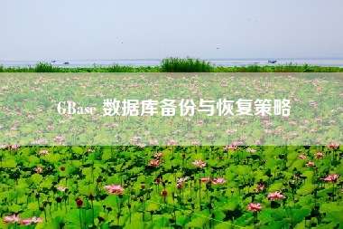 GBase 数据库备份与恢复策略