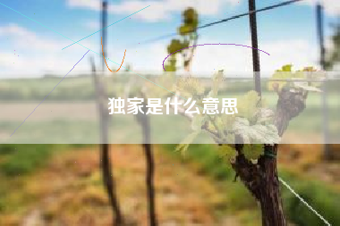 独家是什么意思