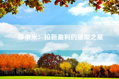 哆来米：拉新盈利的璀璨之星
