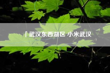 「武汉东西湖区 小米武汉