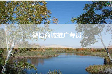 微信商城推广专员 微信商城推广专员