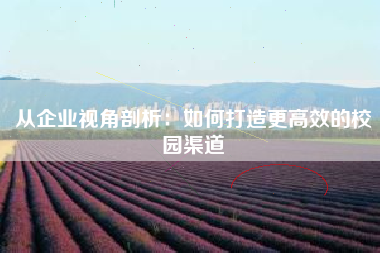 从企业视角剖析：如何打造更高效的校园渠道
