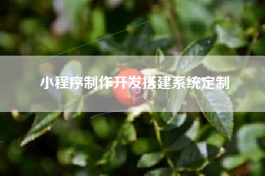 小程序制作开发搭建系统定制