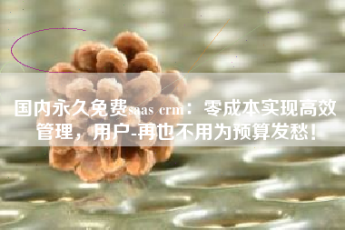 国内永久免费saas crm：零成本实现高效管理，用户-再也不用为预算发愁！
