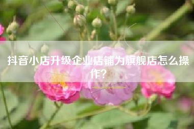 抖音小店升级企业店铺为旗舰店怎么操作？