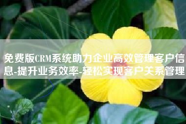 免费版CRM系统助力企业高效管理客户信息-提升业务效率-轻松实现客户关系管理
