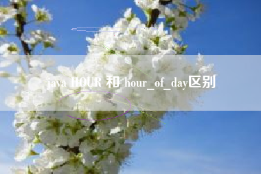 java HOUR 和 hour_of_day区别