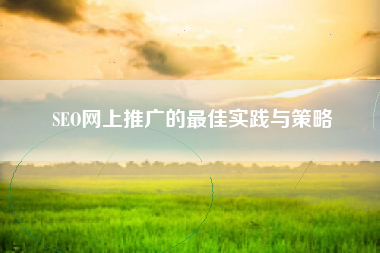 SEO网上推广的最佳实践与策略