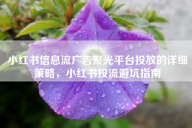 小红书信息流广告聚光平台投放的详细策略，小红书投流避坑指南