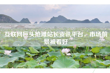 互联网巨头抢滩站长资讯平台，市场前景被看好