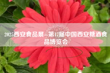 2025西安食品展--第17届中国西安糖酒食品博览会