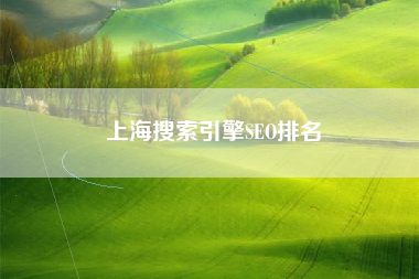 上海搜索引擎SEO排名