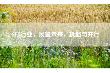 SEO行业，展望未来，机遇与并行