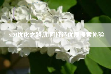 SEO优化之路,如何打造优质搜索体验