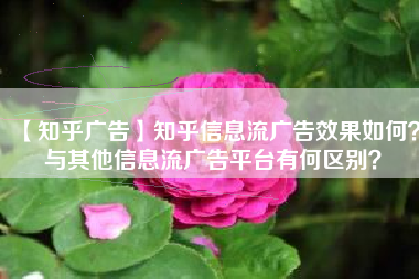 【知乎广告】知乎信息流广告效果如何？与其他信息流广告平台有何区别？