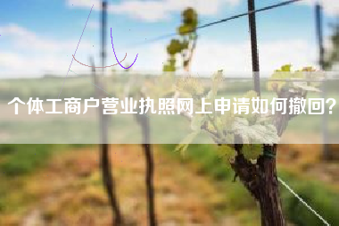 个体工商户营业执照网上申请如何撤回？