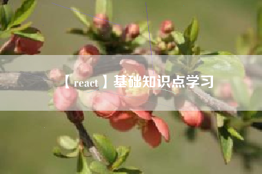 【react】基础知识点学习