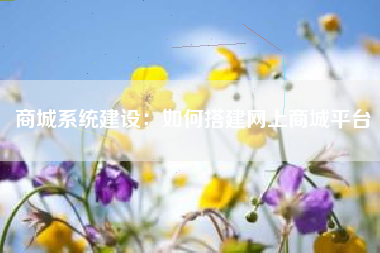商城系统建设：如何搭建网上商城平台