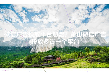 微信广告投放平台加盟？萧山微信广告投放多钱一个平台