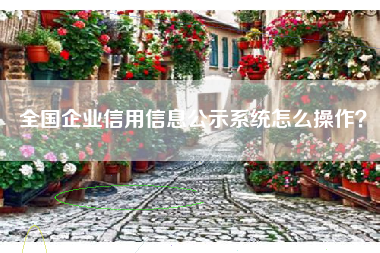 全国企业信用信息公示系统怎么操作？