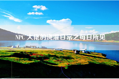 NPC 大佬的浇灌日常之每日所见
