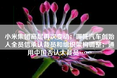小米集团高层再次变动；哪吒汽车创始人全员信承认裁员和组织架构调整；通用中国否认大裁员……