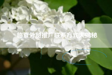 临夏外贸推广联系方式大揭秘