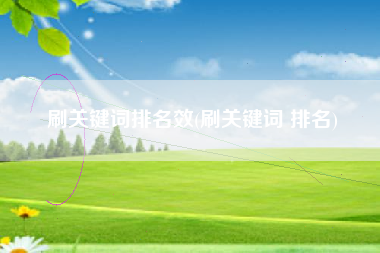 刷关键词排名效(刷关键词 排名)